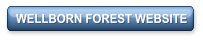WELLBORN FOREST WEBSITE
