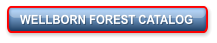 WELLBORN FOREST CATALOG